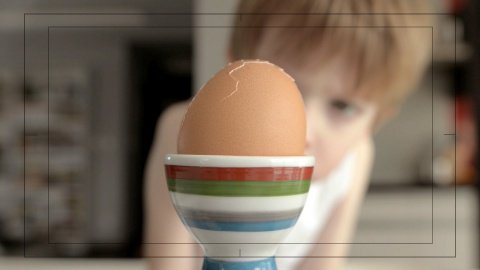 Plankton Jajeczny — Jaja Making Of