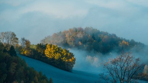 Mgliste lasy Piwniczanki